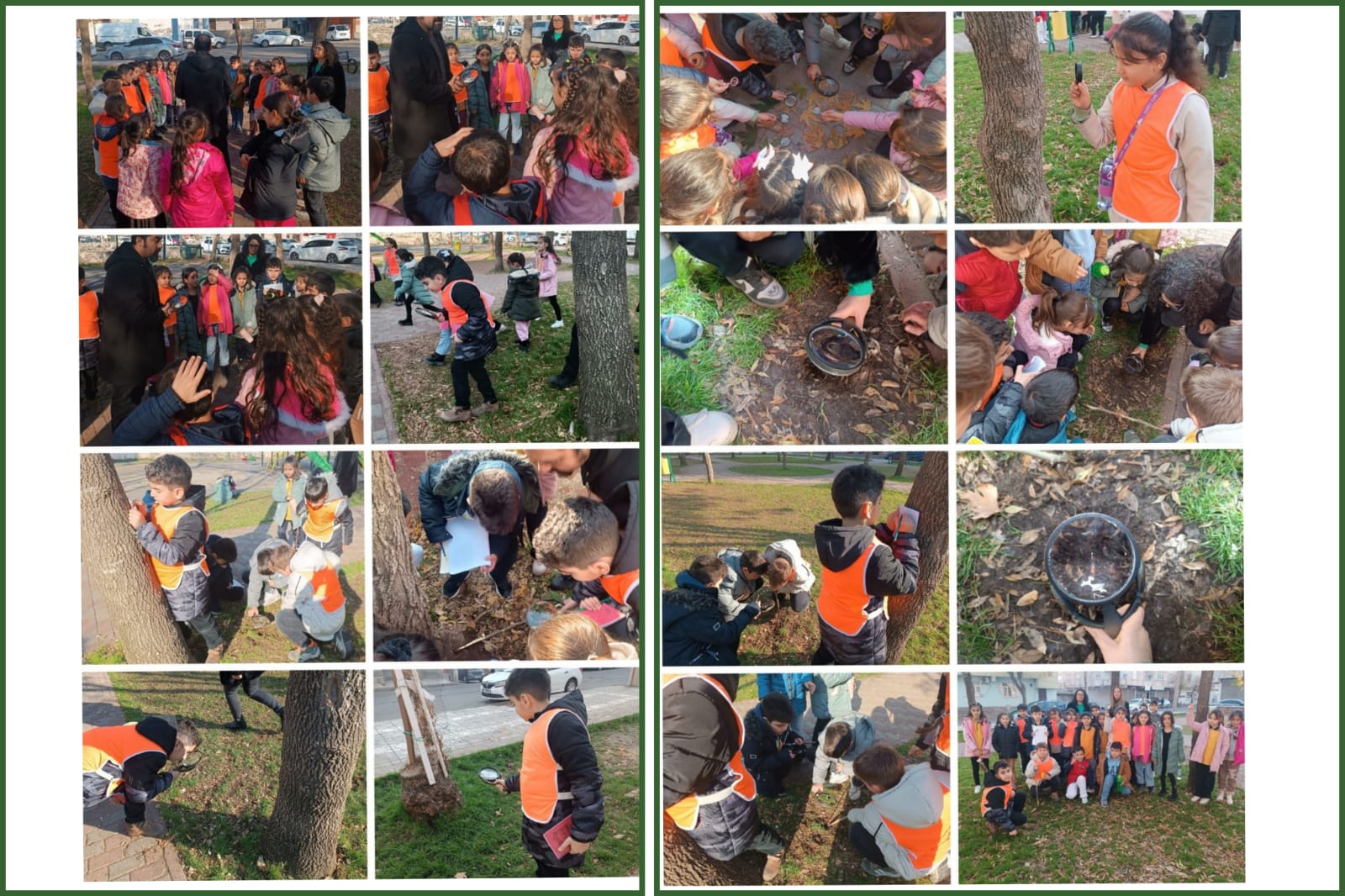 Doğa Gezisi ve Yürüyüşleri